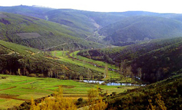 Parque de Montesinho